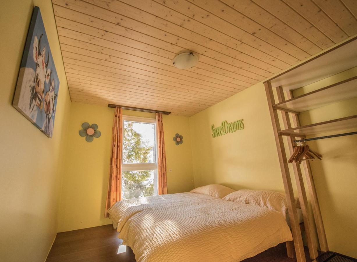 Schutzenbach Backpackers For Adults 18-35 Hostel Lauterbrunnen Εξωτερικό φωτογραφία
